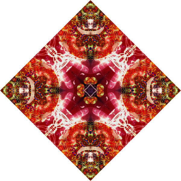 Red Brocade Tile 6