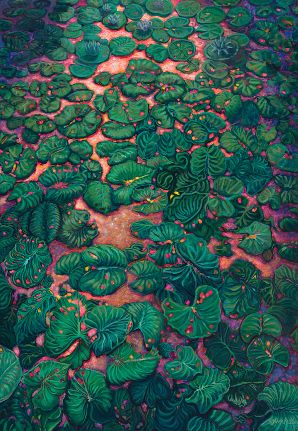 Organic Growth by Steve Miller