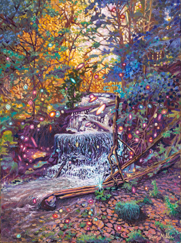 Dwarf Galaxy Spotted at Webb Falls by Steve Miller