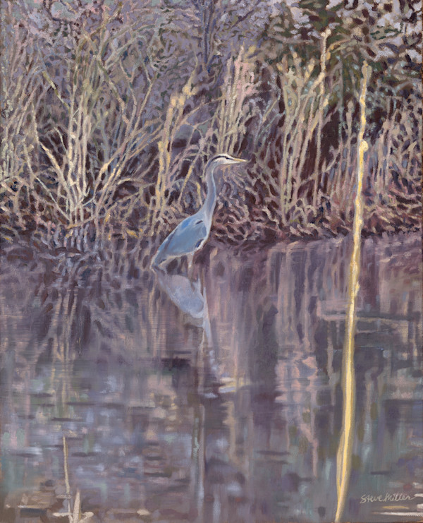 Heron on the Pond by Steve Miller