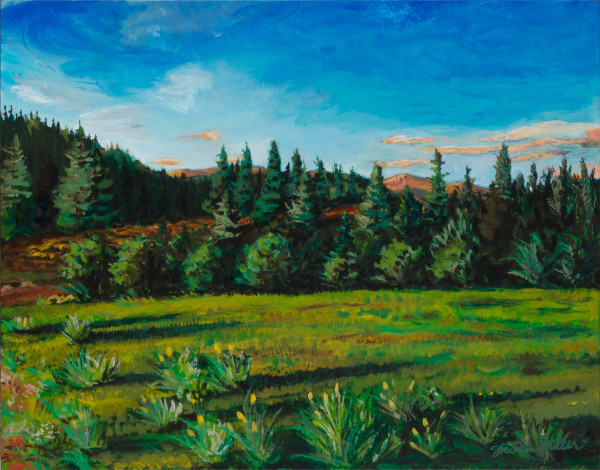Morning Meadow by Steve Miller