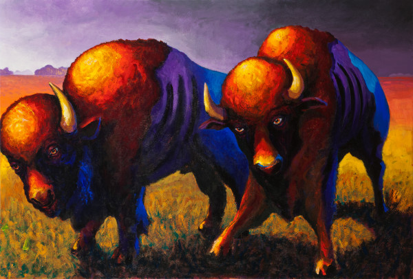 Brothers Bison by Steve Miller