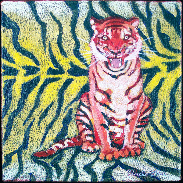 Tiger by Steve Miller