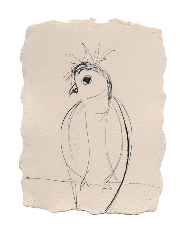 Bird (012_2025) by Erika Alonso