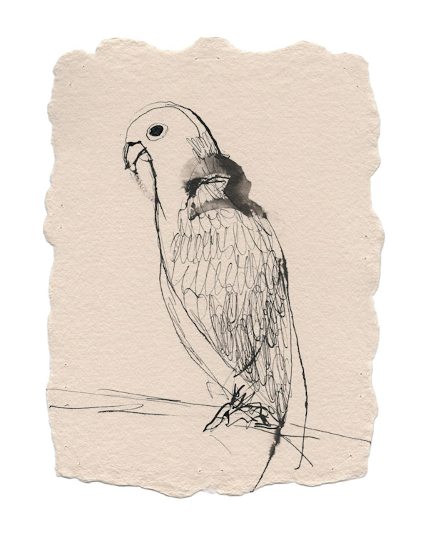 013_2025_6x8_ink_i7b4fw_18 by Erika Alonso