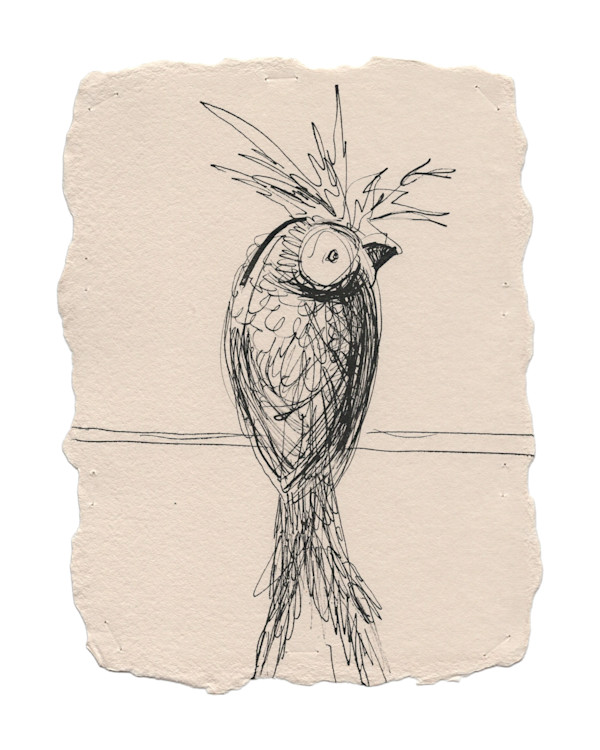 014_2025_6x8_ink_dmopwd_16 by Erika Alonso