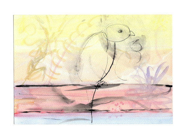 Bird at sunrise (018_2025) by Erika Alonso