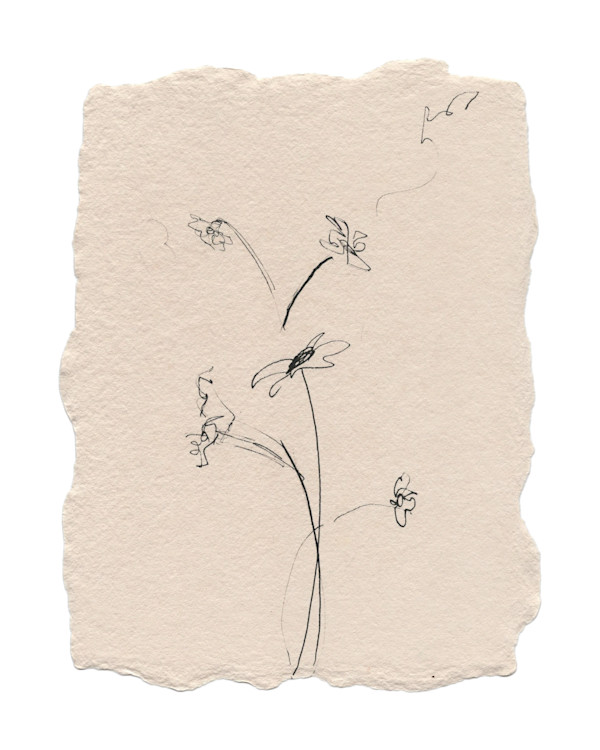 Baby Flowers (043_2025) by Erika Alonso