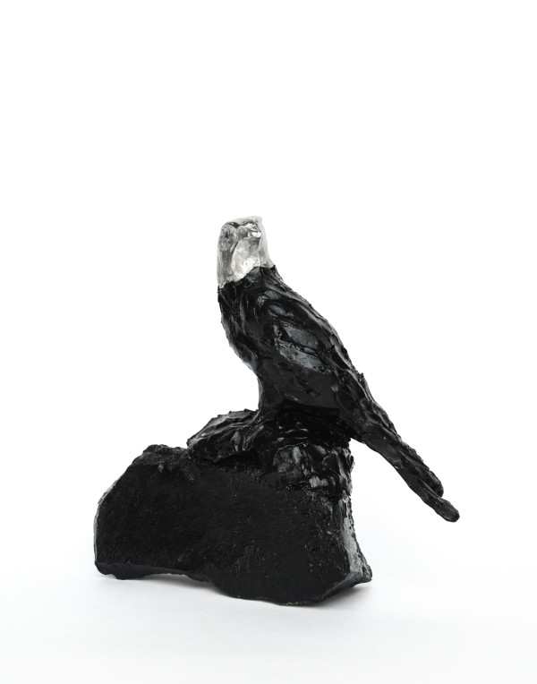 Untitled (Alchemy Eagle) by Chantal Powell 