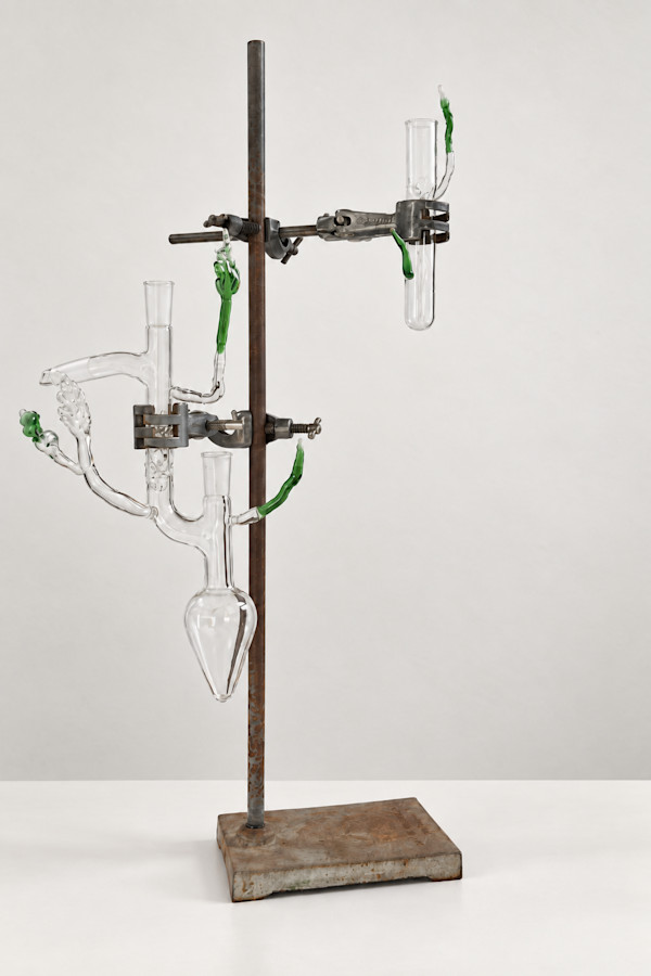 Propagation by Chantal Powell, Image 1.