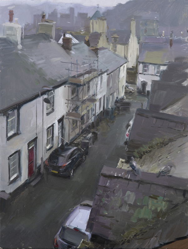 Pigeons in Conwy by Rob Pointon