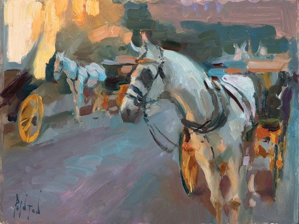 Carriage Study, Seville by Rob Pointon