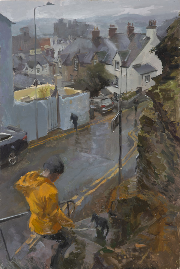 Stepping down from the Walls, Conwy by Rob Pointon