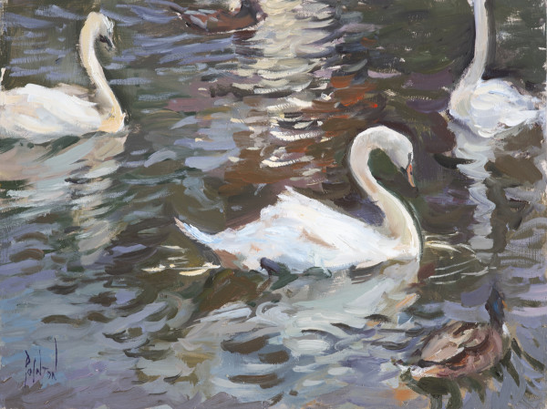 Swans and Ducks from the boat by Rob Pointon