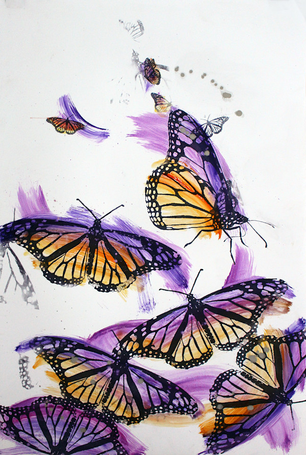 The Butterfly Effect by Cara Enteles