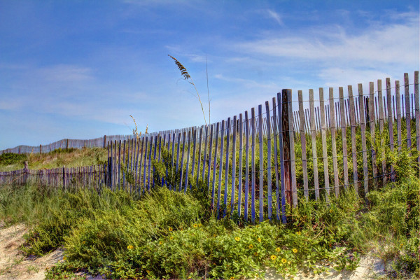 Beach Fence by Rene Griffith