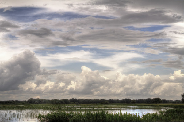 Clouds Over the Wetlands by Rene Griffith