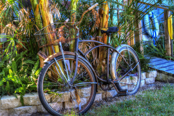 Old Beach Cruiser by Rene Griffith