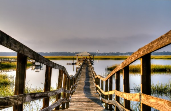 Low Country Pier by Rene Griffith