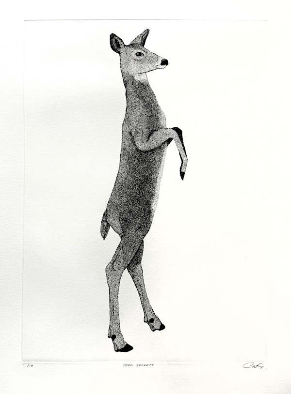 Deer Secrets by Carson Fox