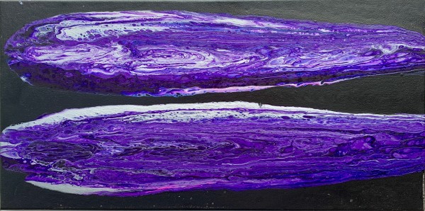 Purple Razor Clam by Debbie Kappelhoff