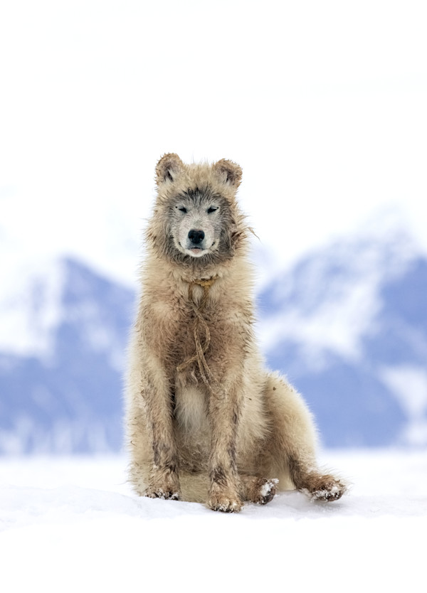 Remembering 22 (part II) 1/12  24X36" by Guadalupe Laiz | Gallery Space