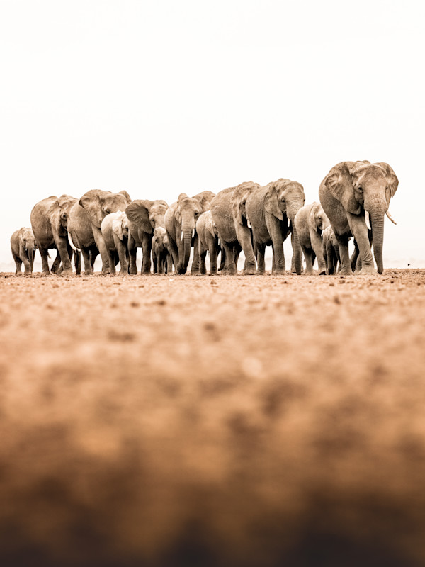 The Servers II 2/20 42X62" by Guadalupe Laiz | Gallery Space