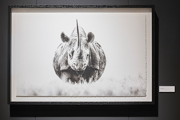 With Sonia 1/12 24X36" by Guadalupe Laiz | Gallery Space