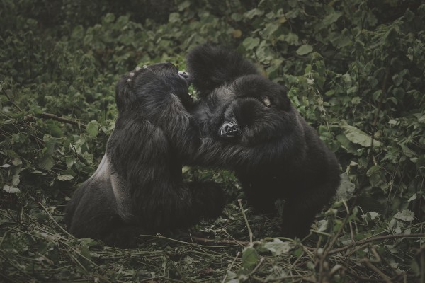 Bonding by Guadalupe Laiz | Gallery Space