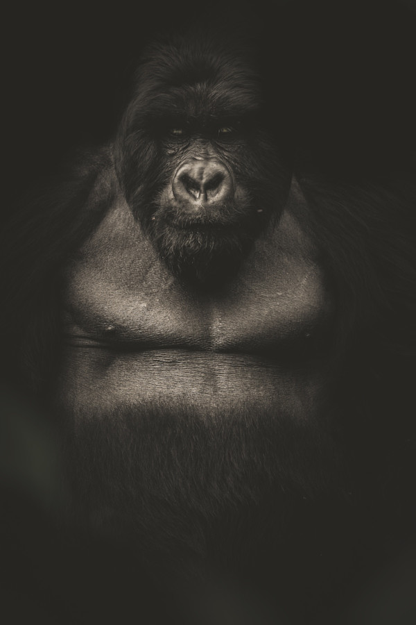 Byond my help by Guadalupe Laiz | Gallery Space