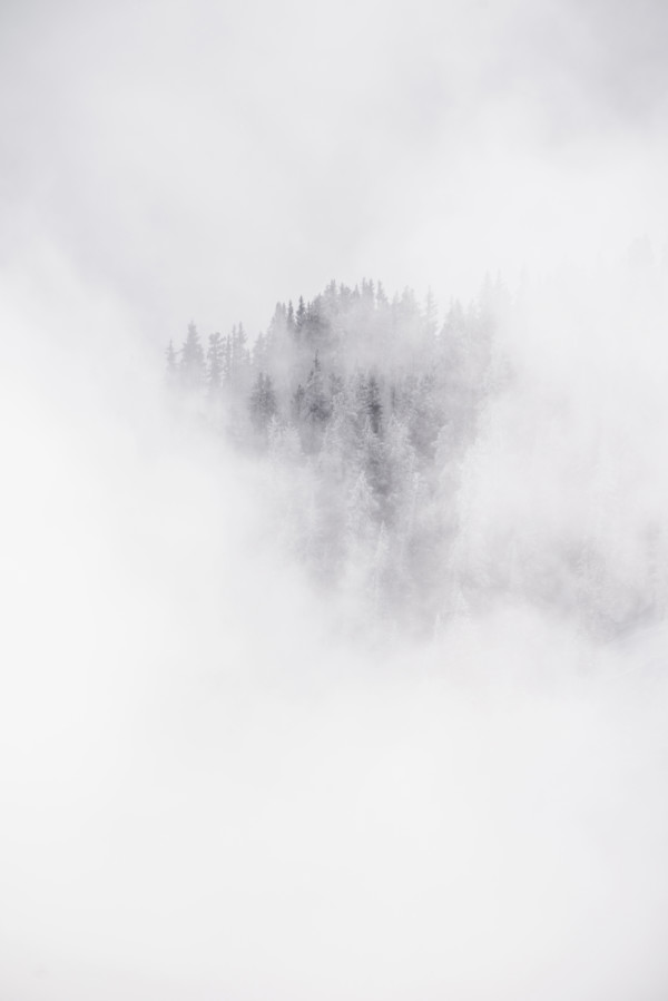 Fog II 1/20 by Guadalupe Laiz | Gallery Space