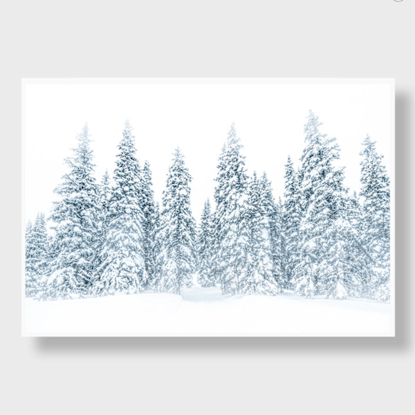 Christmas 2/12 24X36" by Guadalupe Laiz | Gallery Space