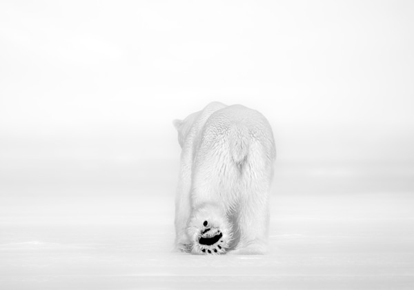 Go With Happiness 3/12 by Guadalupe Laiz | Gallery Space