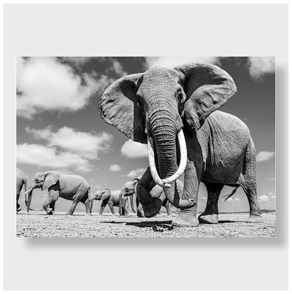 God Bless Mom (Africa) 1/12 24X36" by Guadalupe Laiz | Gallery Space