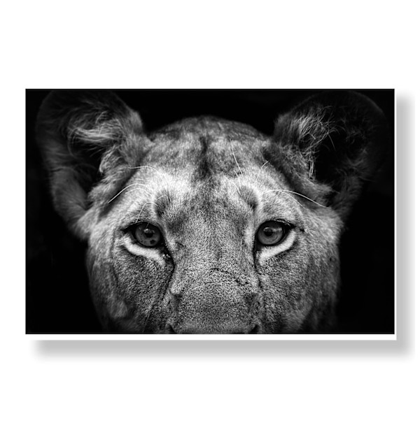 Her Mercy 1/12 40X55" print only by Guadalupe Laiz | Gallery Space