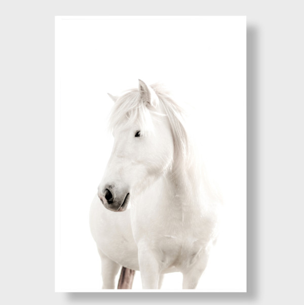 Delicate 2/20 24X36" (H) by Guadalupe Laiz | Gallery Space