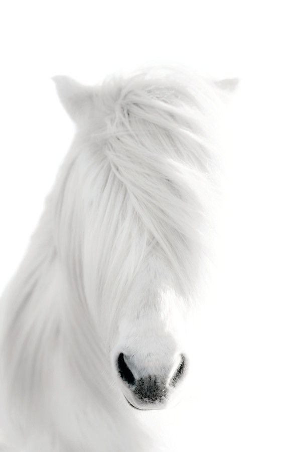 Blinded 18/20 24X36" by Guadalupe Laiz | Gallery Space