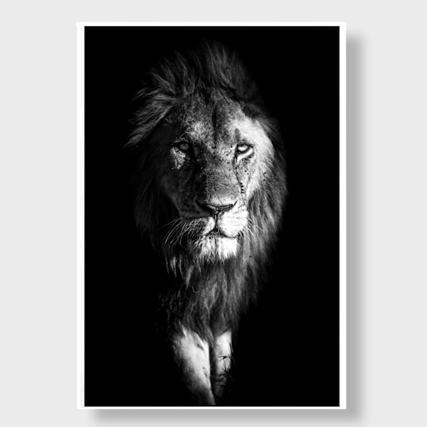 Isolation 62X88" by Guadalupe Laiz | Gallery Space