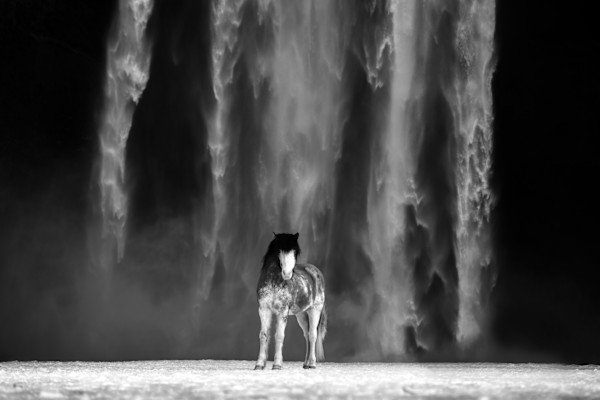 Ellert B&W 1/12 63X89" by Guadalupe Laiz | Gallery Space