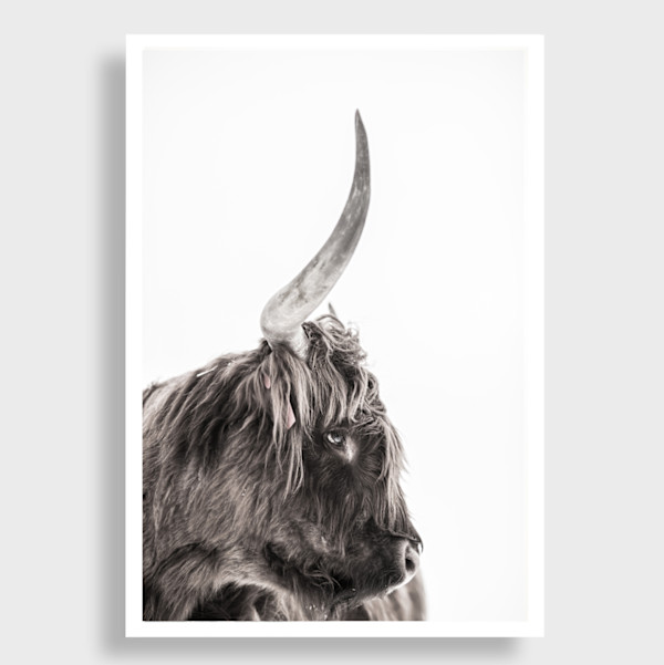 Acorns 11/20 by Guadalupe Laiz | Gallery Space