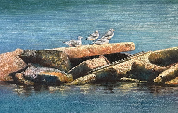 Sunning on the Jetties by Jeannette Cuevas