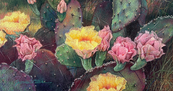 Big Bend Beauty by Jeannette Cuevas