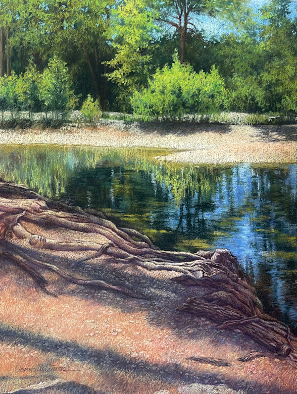 The Gnarly Frio River by Jeannette Cuevas