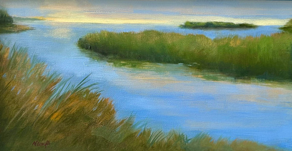 Swift Water by Nancy Dwight