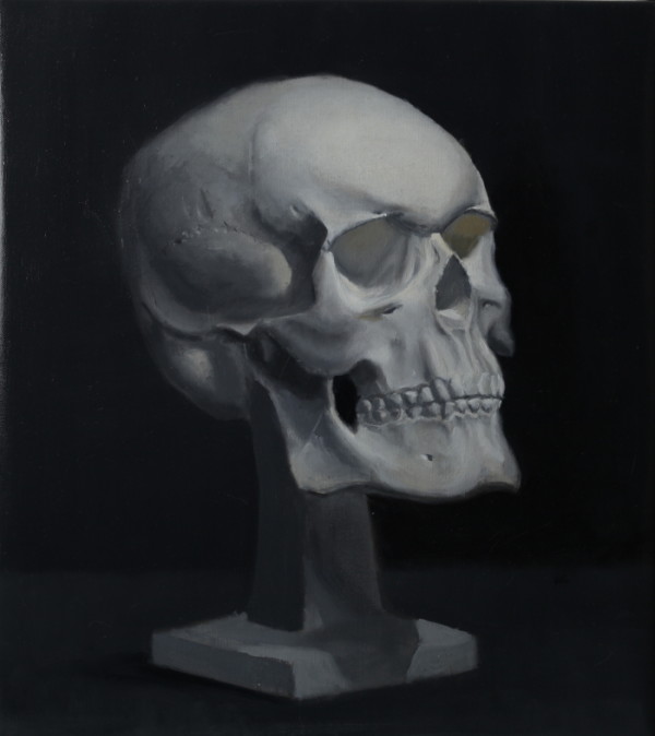 Skull Study by Phil Went