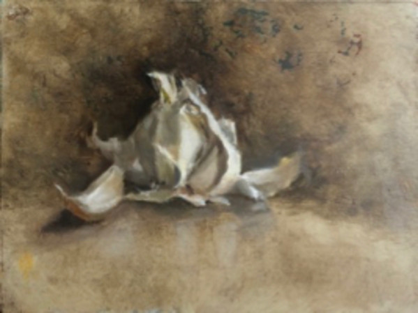 Garlic in Studio by Suzy Schultz