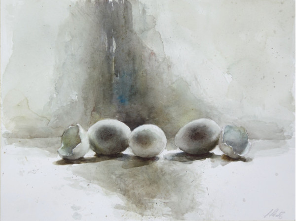 Eggs in Studio by Suzy Schultz