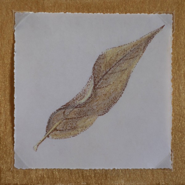 Leaf 18 by Rebecca Prince