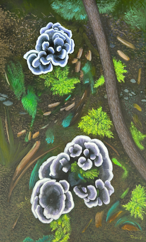BLACK & WHITE FUNGI by JANE TROUP