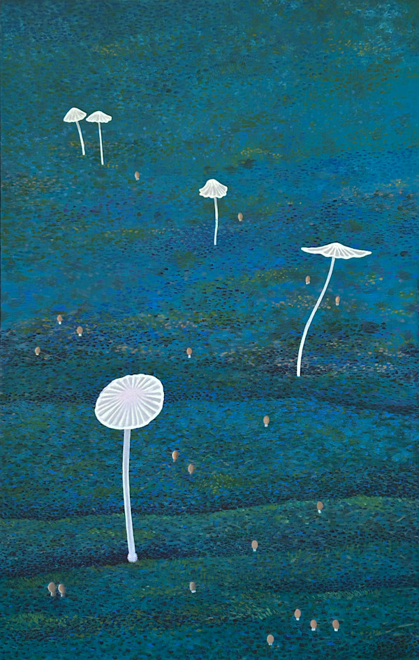 FAIRIES by JANE TROUP